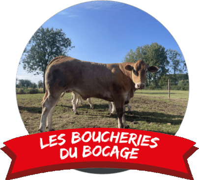Une vache blonde de la coopérative dans une pâture du bocage, sous le ruban Les Boucheries du Bocage